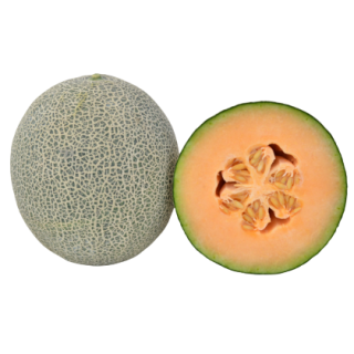 Aaliya Muskmelon From  Known You Seed (India)-KYI